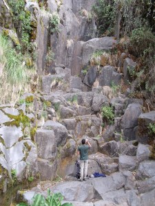 Inicio de Vacaanna IV tradicional